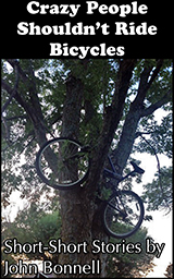 Crazy People Shouldn't Ride Bicycles book cover